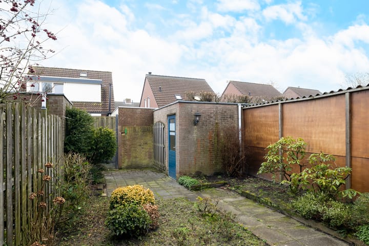 Foto 5 van Roerdomp 123