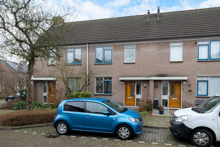 Foto 7 van Roerdomp 123