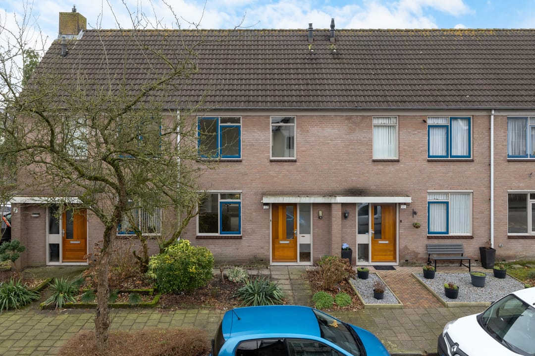 Foto 8 van Roerdomp 123