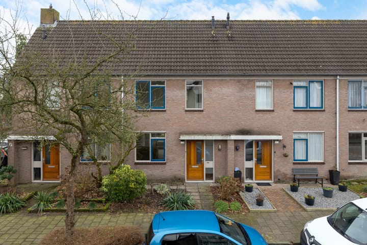 Foto 8 van Roerdomp 123