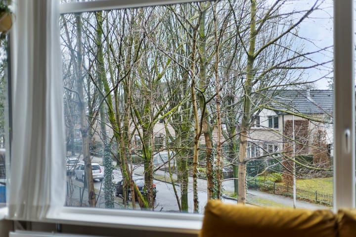 Foto 14 van Anna van Burenlaan 40