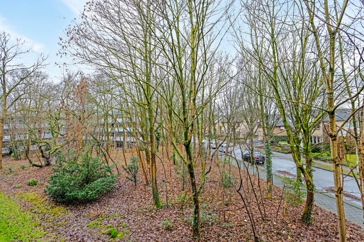 Foto 18 van Anna van Burenlaan 40