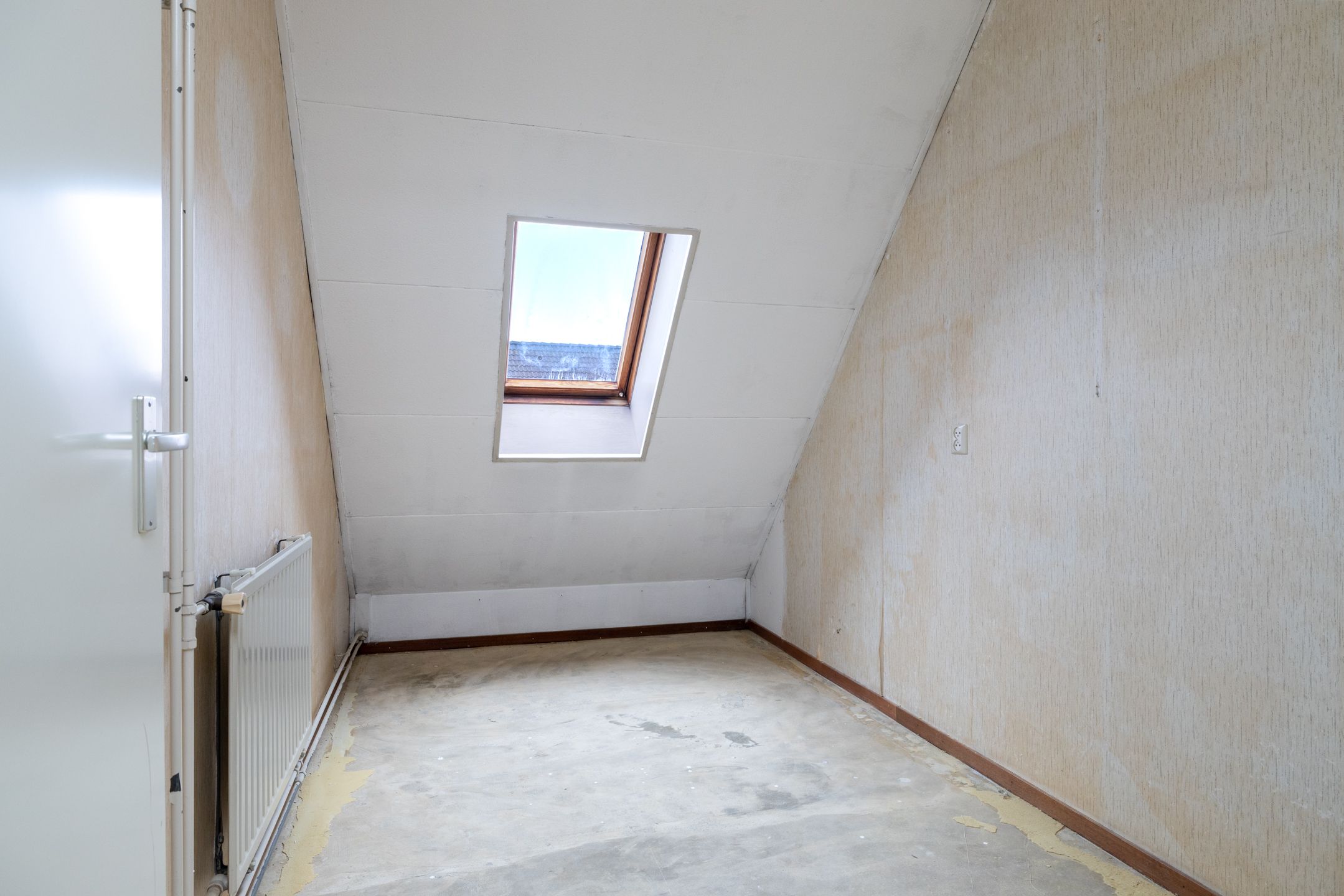 Foto 21 van Roerdomp 123