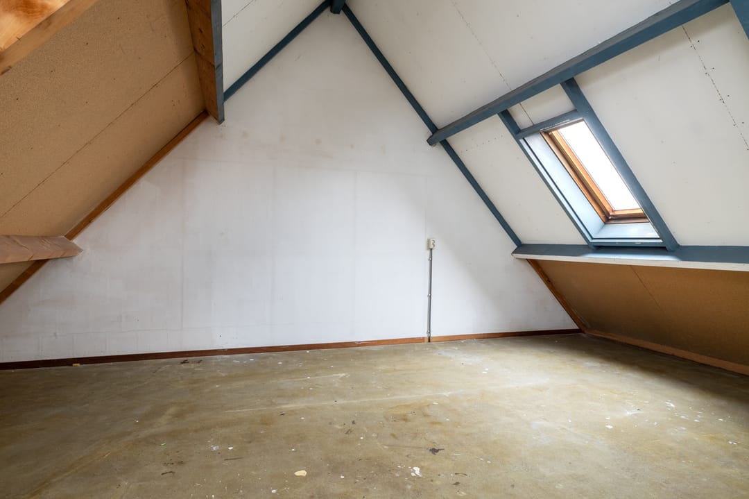 Foto 23 van Roerdomp 123