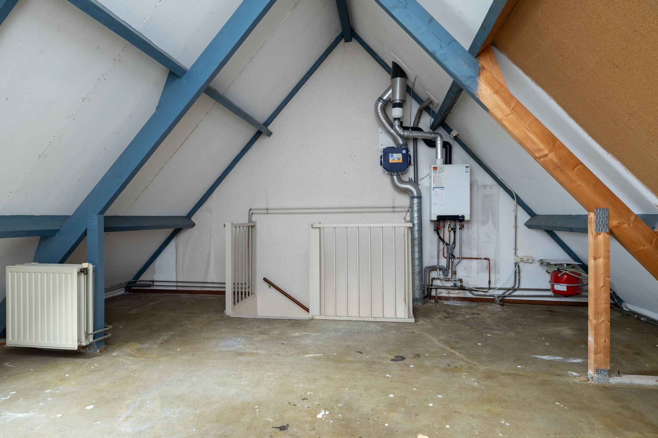 Foto 24 van Roerdomp 123