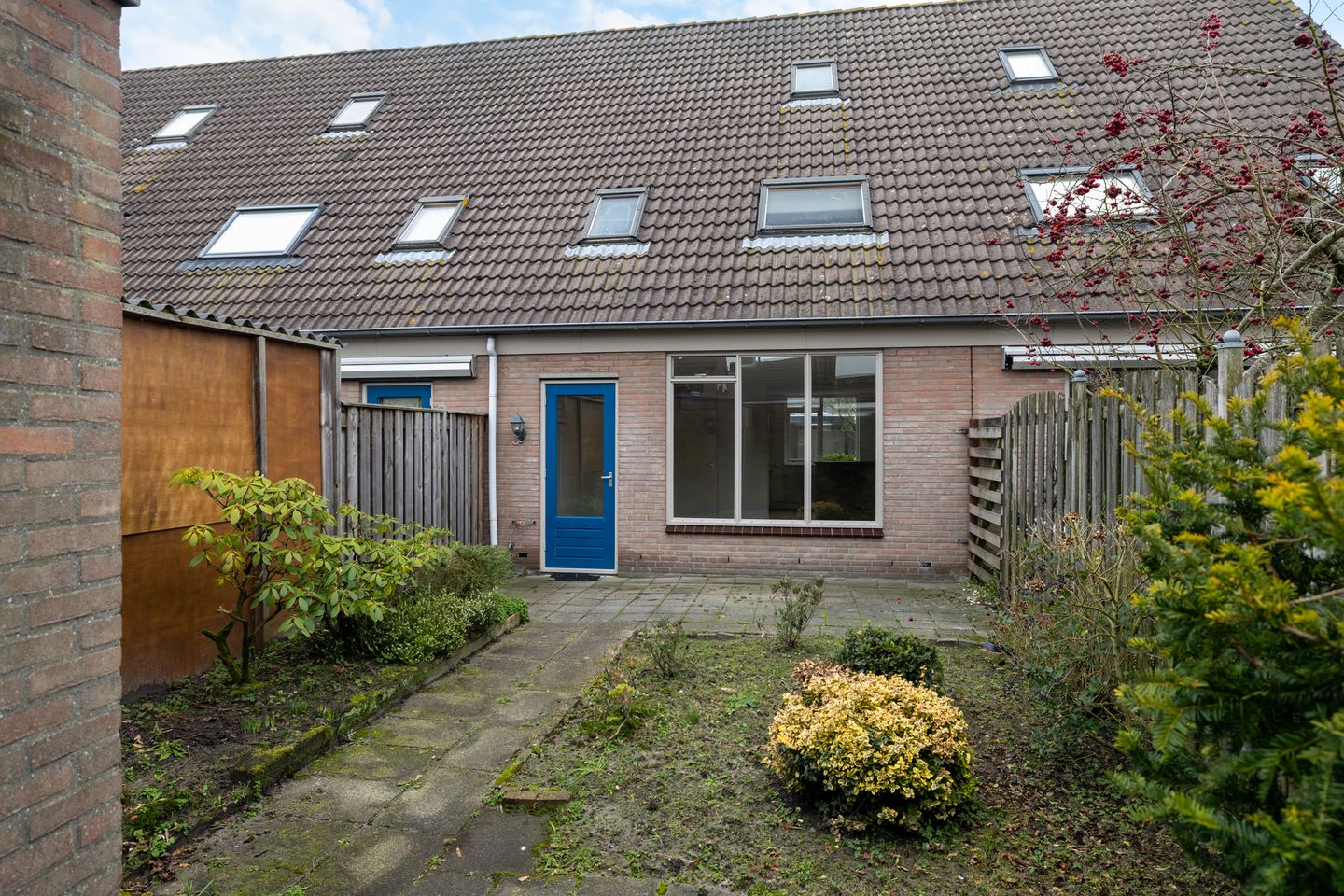 Foto 25 van Roerdomp 123