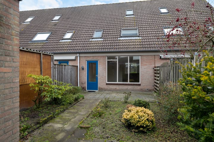 Foto 25 van Roerdomp 123