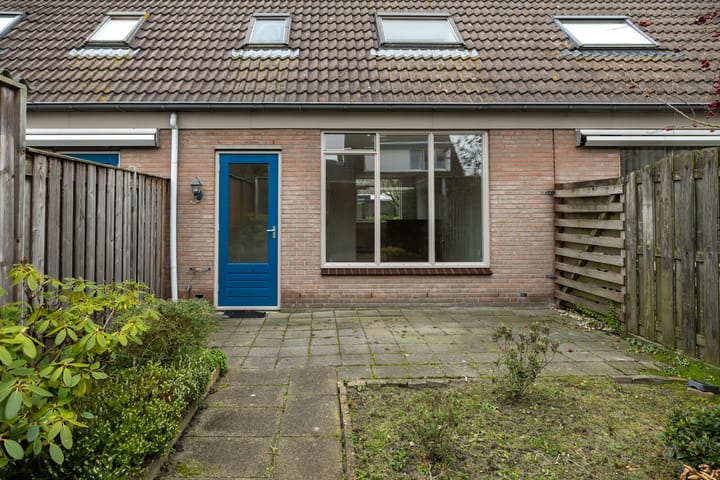 Foto 26 van Roerdomp 123