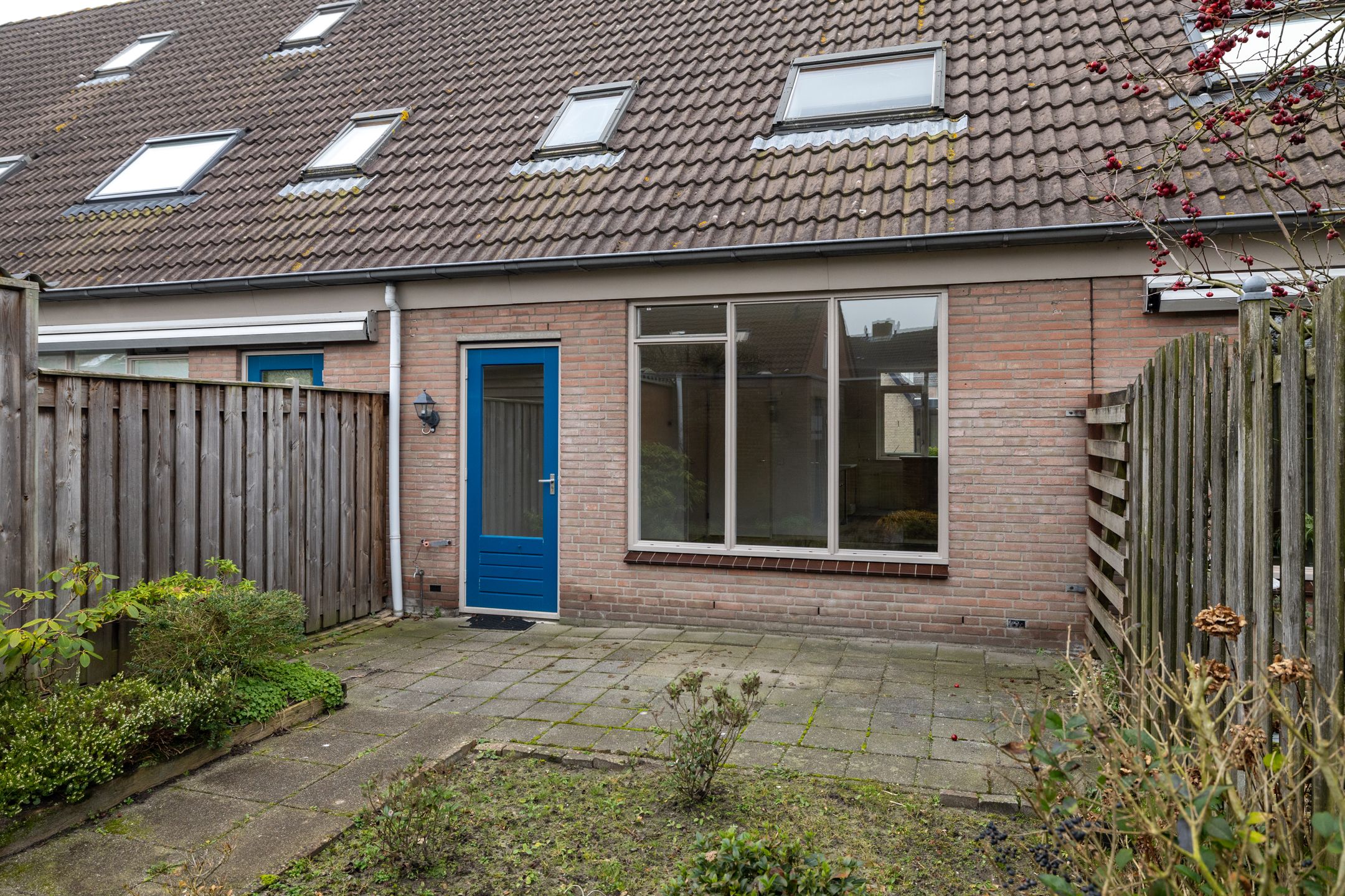 Foto 27 van Roerdomp 123