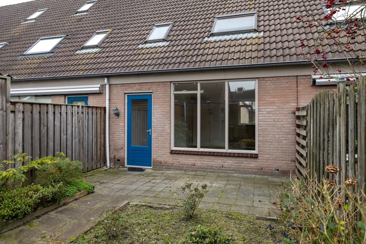 Foto 27 van Roerdomp 123