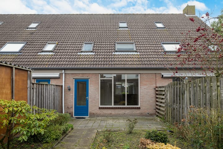 Foto 6 van Roerdomp 123