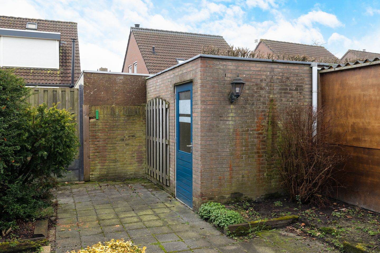 Foto 29 van Roerdomp 123