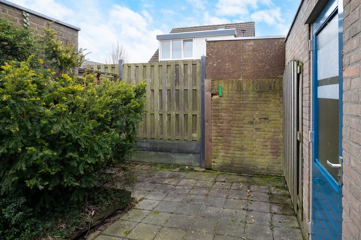 Foto 30 van Roerdomp 123