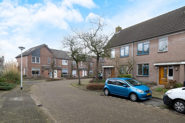 Foto 31 van Roerdomp 123