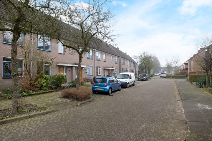 Foto 32 van Roerdomp 123