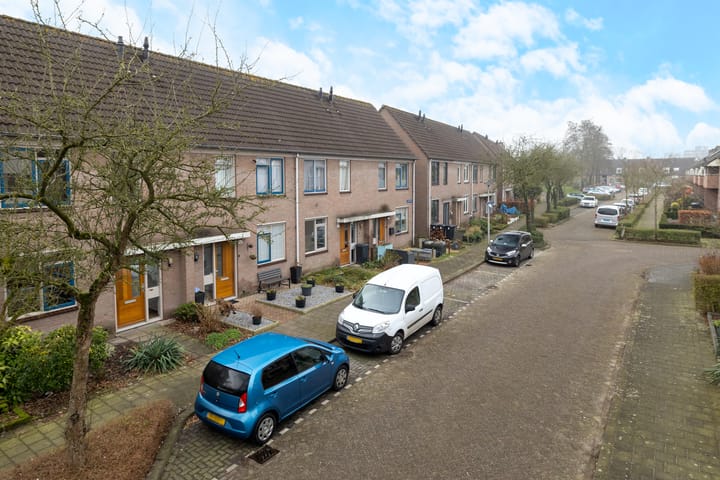 Foto 33 van Roerdomp 123