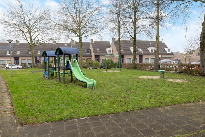 Foto 34 van Roerdomp 123