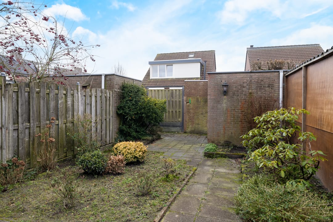 Foto 28 van Roerdomp 123