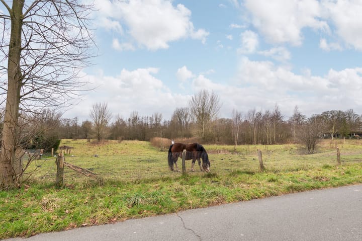 Foto 2 van Wierdensestraat 28