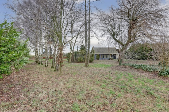 Foto 2 van Drie Haasjes 5