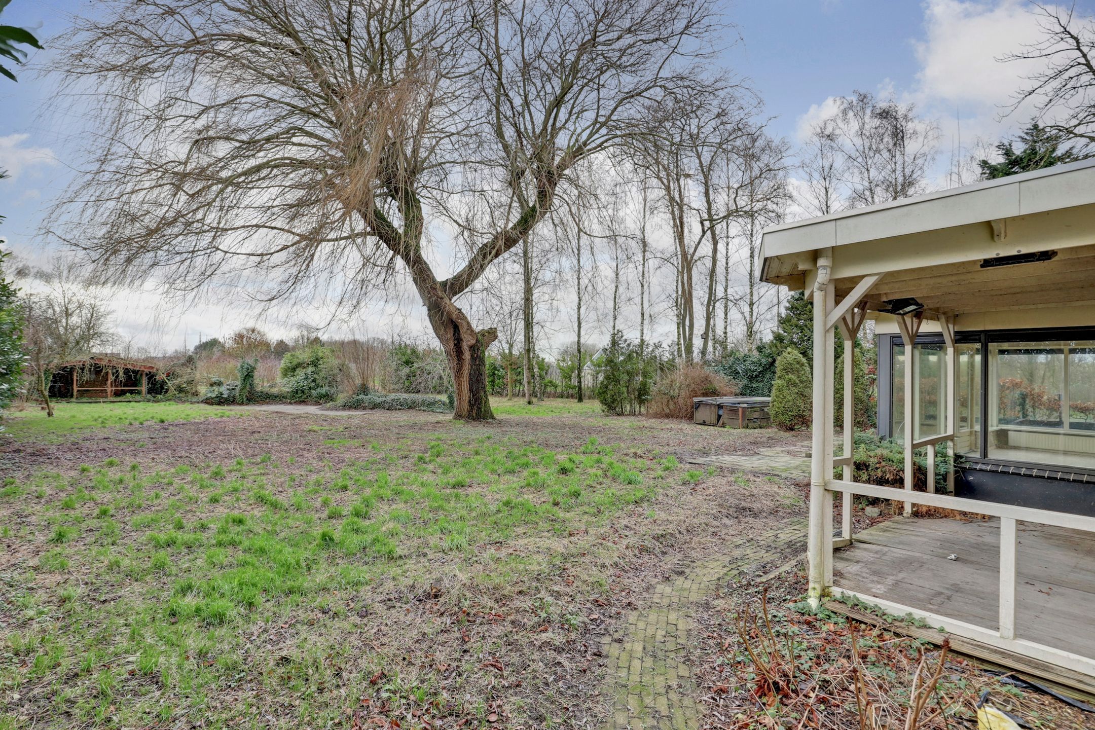 Foto 3 van Drie Haasjes 5