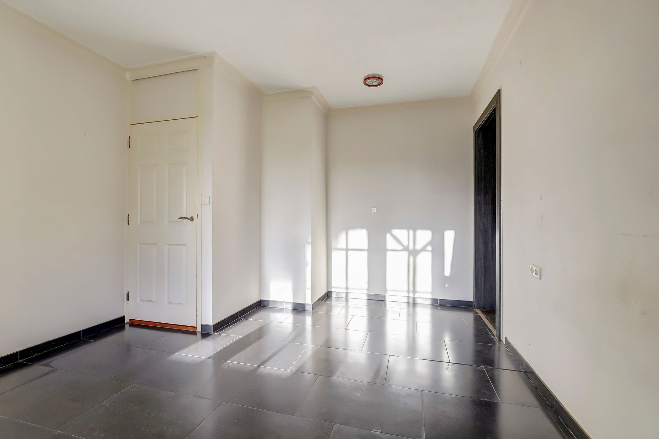 Foto 18 van Drie Haasjes 5