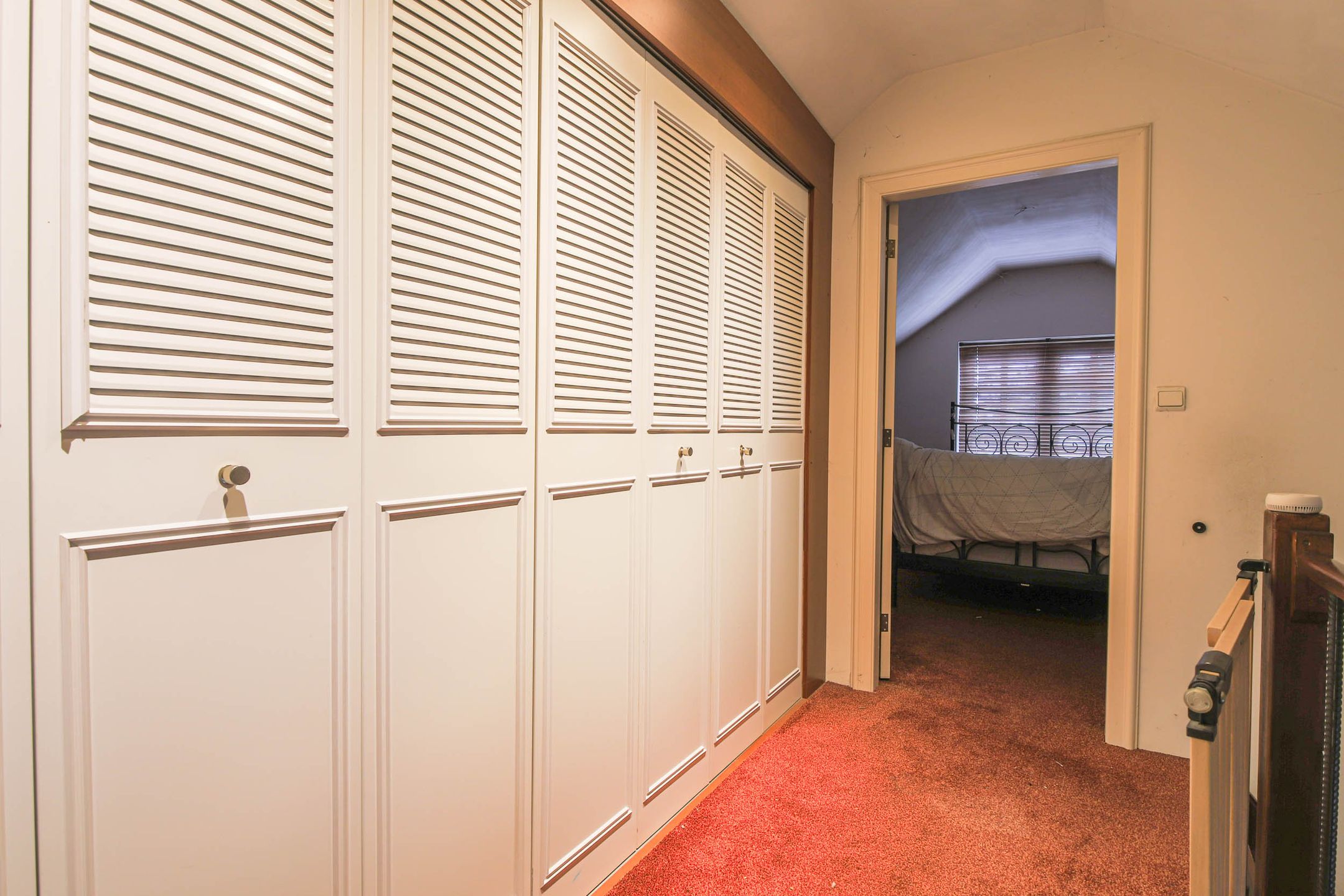 Foto 24 van Drie Haasjes 5