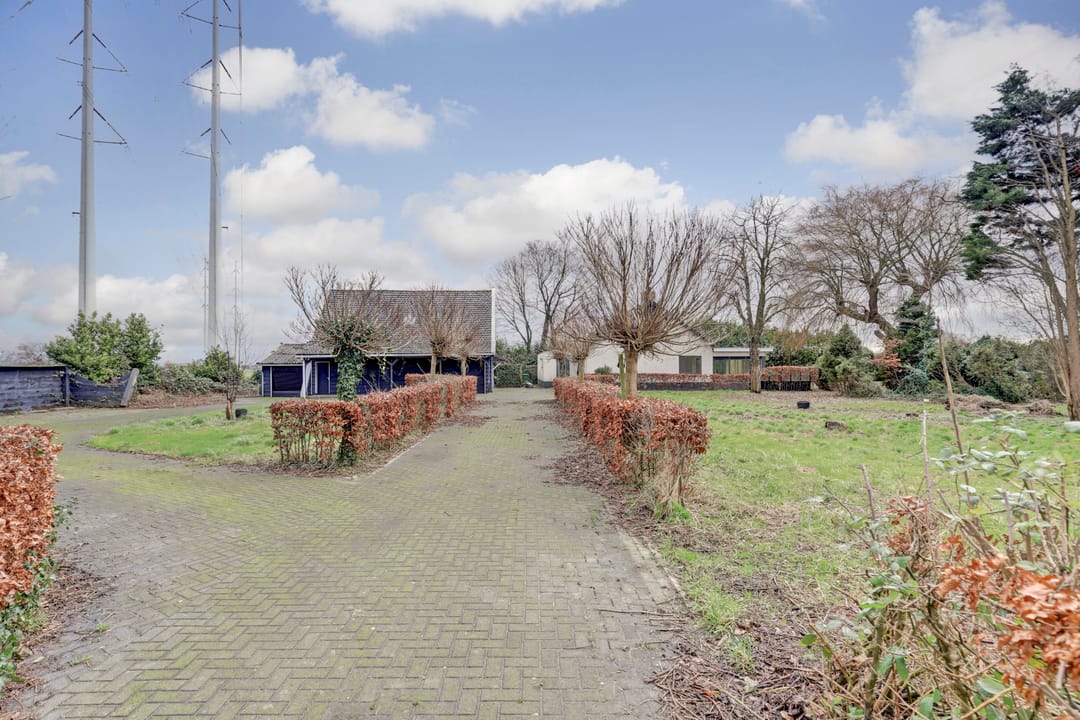 Foto 31 van Drie Haasjes 5