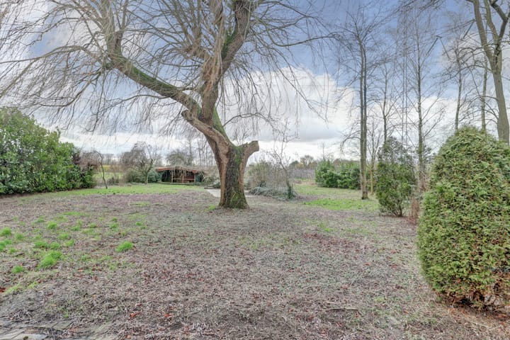 Foto 32 van Drie Haasjes 5