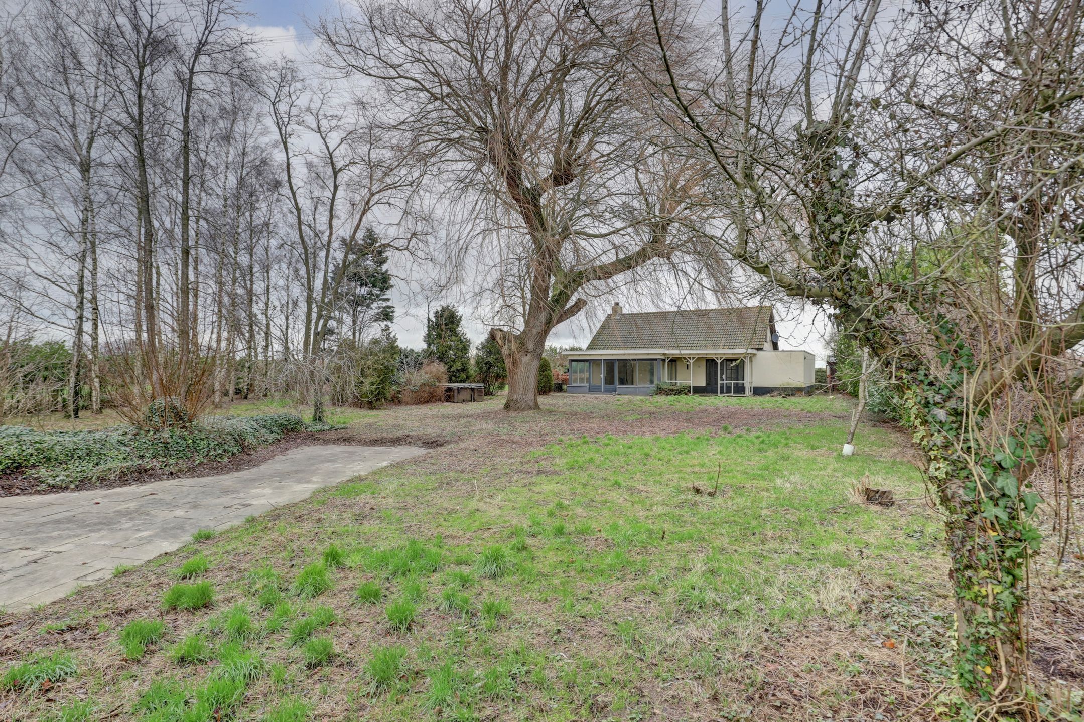 Foto 33 van Drie Haasjes 5