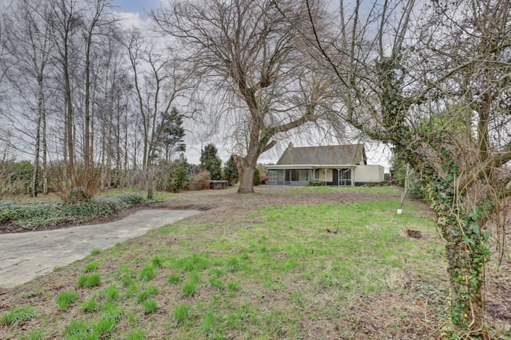 Foto 33 van Drie Haasjes 5