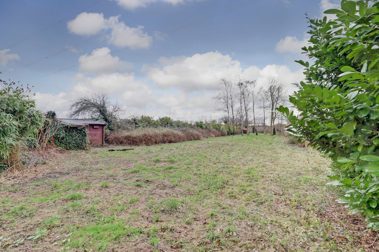 Foto 34 van Drie Haasjes 5