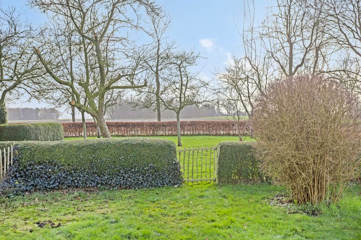 Photo 51 of Streek 9