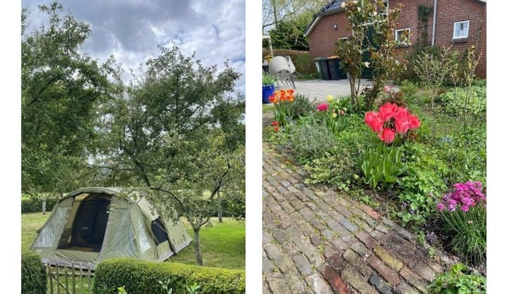 Photo 53 of Streek 9