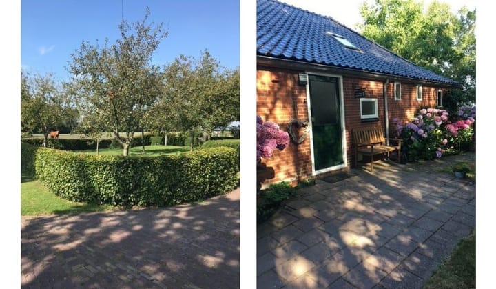 Photo 54 of Streek 9