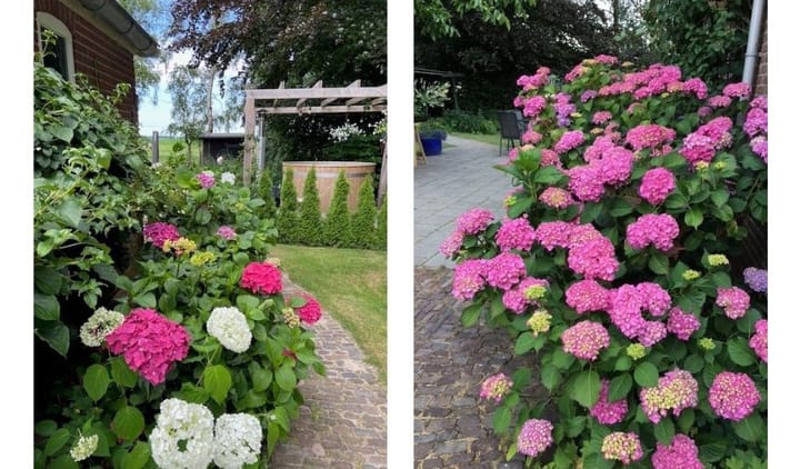 Photo 59 of Streek 9