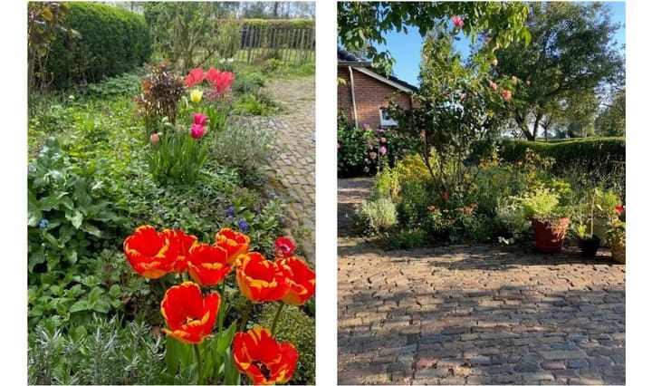 Photo 60 of Streek 9