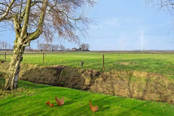 Photo 61 of Streek 9