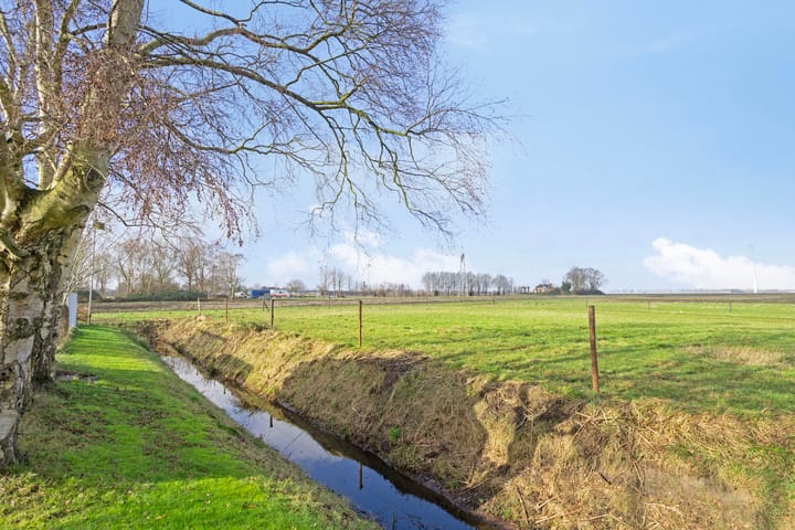 Photo 62 of Streek 9