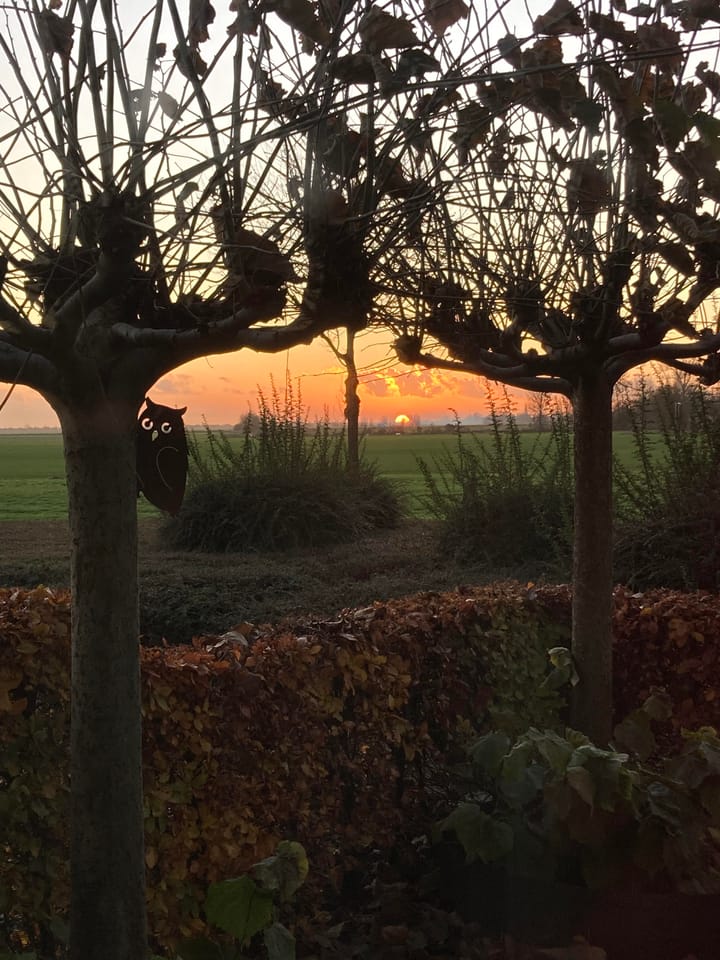 Foto 40 van Baljuwstraat 34