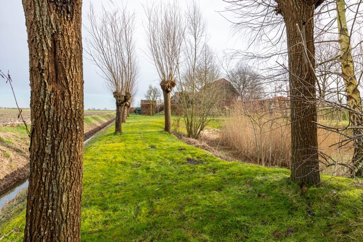 Foto 91 van Rolafseweg 9