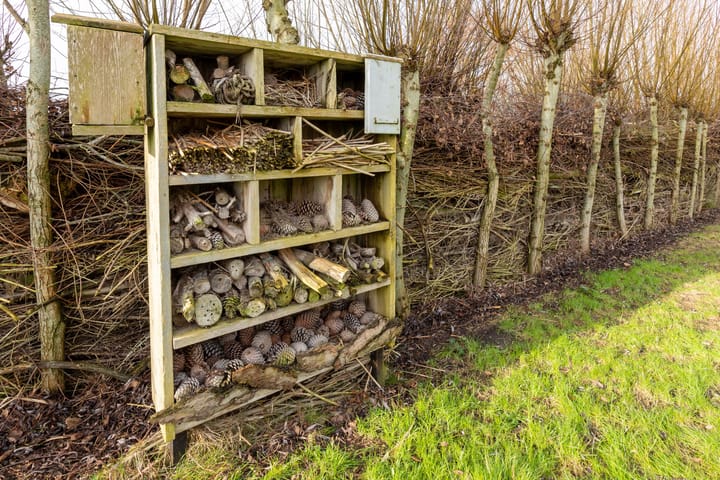 Foto 92 van Rolafseweg 9