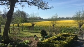 Foto 101 van Rolafseweg 9