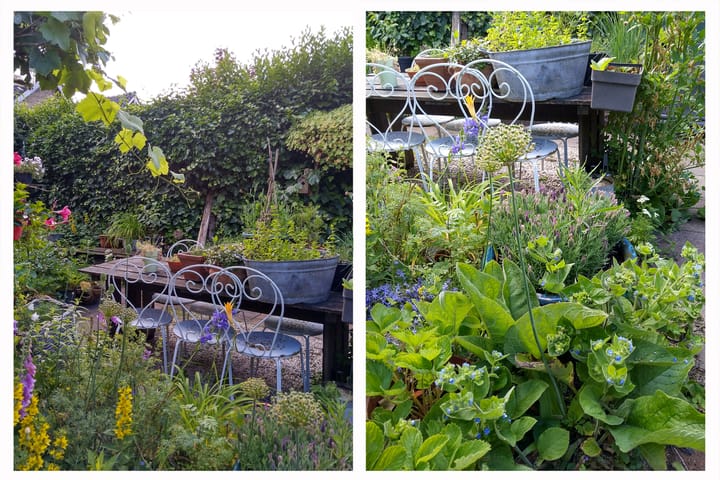 Foto 49 van Dorpsstraat 17