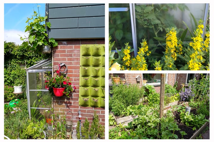 Foto 51 van Dorpsstraat 17