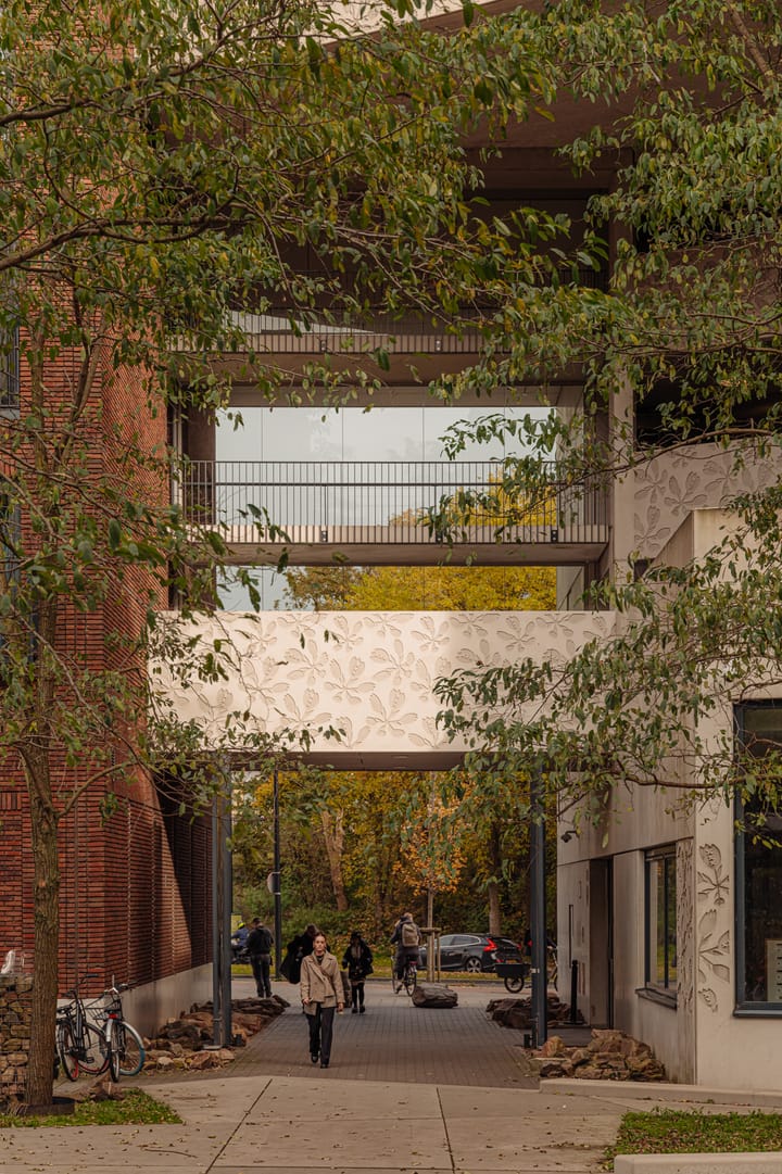 Photo 14 of Welnastraat 103