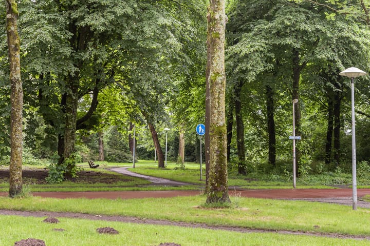 Foto 18 van Santiagodreef 62