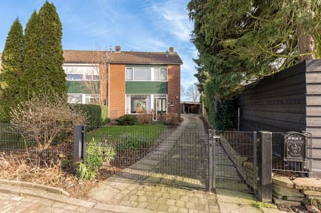 undefined main image