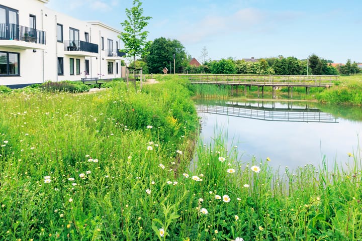 Foto 43 van Bessembiender 19