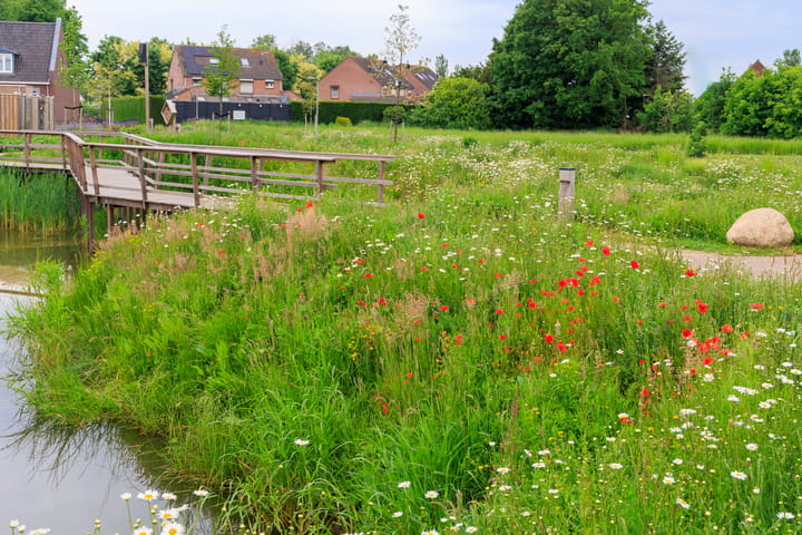 Foto 45 van Bessembiender 19